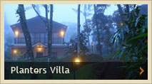 Honemoon Cottages, Deluxe Cottage, enjoy the true nature, plantation tour, thekkady, Kerala
