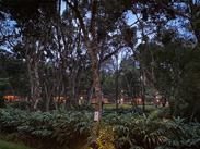 Treetop Resorts Thekkady