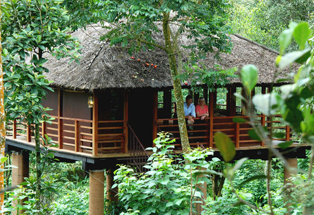 Cardamom plantations Club Tree House in Thekkady, Jacuuzzy villa Resort, Kerala, India